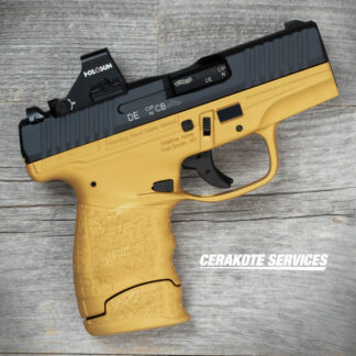 Walther Arms PPS M2 Gold Pistol 507K Optic