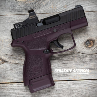 Beretta APX A1 Carry Plum with Burris FastFire III