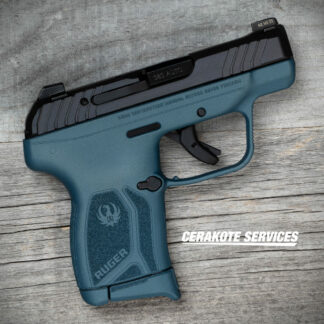 Ruger LCP MAX Vision Blue