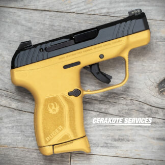 Ruger LCP MAX Gold