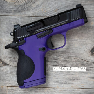 Smith and Wesson CSX Borahae Purple